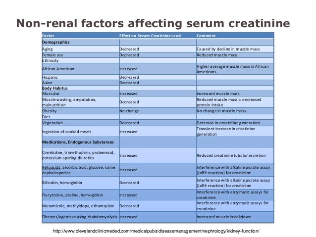 Interpretation of renal diagnostic tests Interpretation of renal diagnostic tests