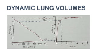 Comprehensive Guide to Spirometry Result Interpretation and Lung ...