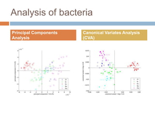 Analysis of bacteria
Principal Components Analysis

Canonical Variates Analysis (CVA)

 