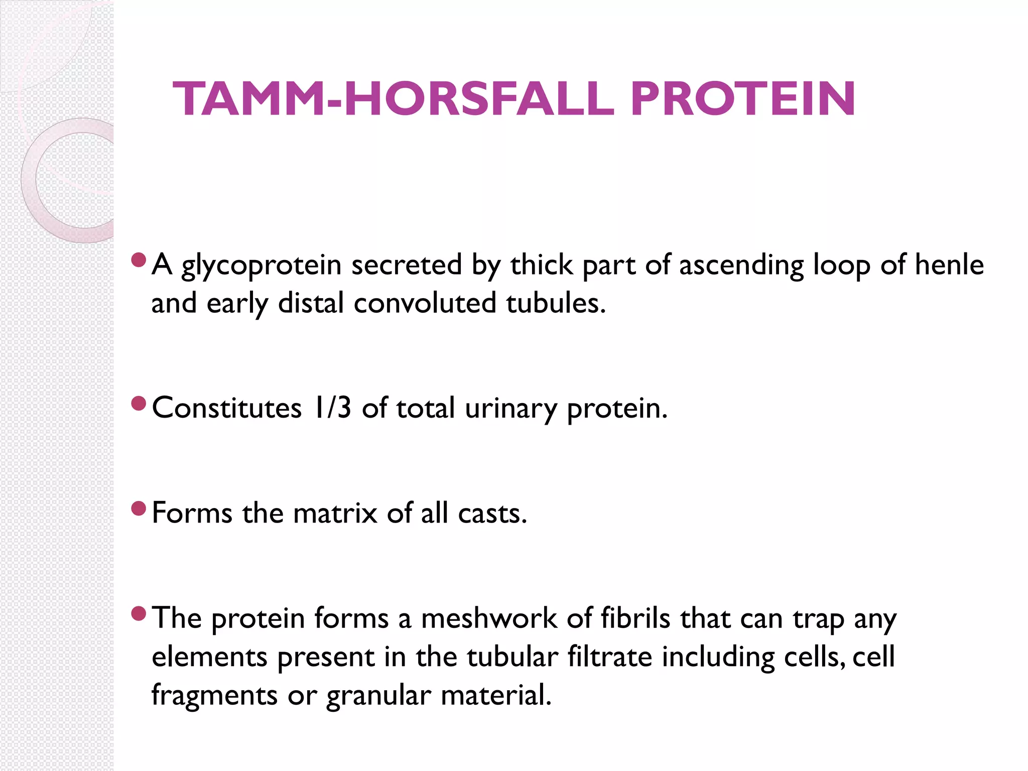 TAMM-HORSFALL PROTEIN
A

glycoprotein secreted by thick part of ascending loop of henle
and early distal convoluted tubules.

Constitutes

Forms

The

1/3 of total urinary protein.

the matrix of all casts.

protein forms a meshwork of fibrils that can trap any
elements present in the tubular filtrate including cells, cell
fragments or granular material.

 