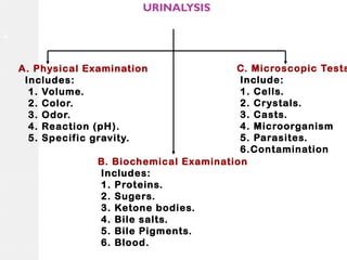 URINALYSIS

.

C. Microscopic Tests
Include:
1. Cells.
2. Crystals.
3. Casts.
4. Microorganism
5. Parasites.
6.Contamination
B. Biochemical Examination
Includes:
1. Proteins.
2. Sugers.
3. Ketone bodies.
4. Bile salts.
5. Bile Pigments.
6. Blood.

A. Physical Examination
Includes:
1. Volume.
2. Color.
3. Odor.
4. Reaction (pH).
5. Specif ic gravity.

 