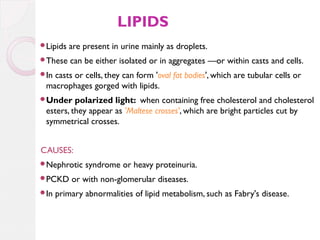 LIPIDS
Lipids

are present in urine mainly as droplets.

These

can be either isolated or in aggregates —or within casts and cells.

In

casts or cells, they can form 'oval fat bodies', which are tubular cells or
macrophages gorged with lipids.

Under

polarized light: when containing free cholesterol and cholesterol
esters, they appear as 'Maltese crosses', which are bright particles cut by
symmetrical crosses.

CAUSES:
Nephrotic
PCKD
In

syndrome or heavy proteinuria.

or with non-glomerular diseases.

primary abnormalities of lipid metabolism, such as Fabry's disease.

 