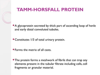 TAMM-HORSFALL PROTEIN
A

glycoprotein secreted by thick part of ascending loop of henle
and early distal convoluted tubules.

Constitutes

Forms

The

1/3 of total urinary protein.

the matrix of all casts.

protein forms a meshwork of fibrils that can trap any
elements present in the tubular filtrate including cells, cell
fragments or granular material.

 