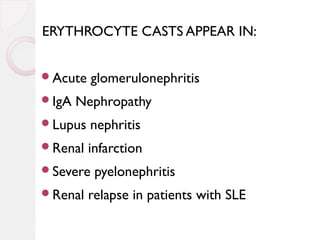 ERYTHROCYTE CASTS APPEAR IN:
Acute
IgA

glomerulonephritis

Nephropathy

Lupus

nephritis

Renal

infarction

Severe
Renal

pyelonephritis

relapse in patients with SLE

 