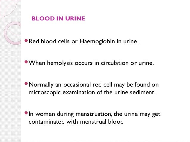 What does it mean if you have white blood cells in your urine?