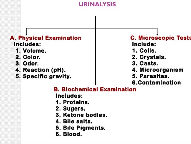 Urine Interpretation / Test / Analysis