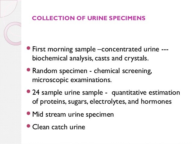 quantitative glucose blood test Urine Analysis Interpretation / Test / quantitative glucose blood test Urine Analysis Interpretation / Test /
