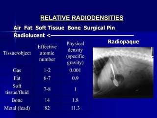 interpretations_of_radiographs2022.ppt