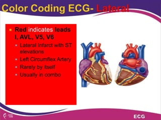 Interpreting ecg | PPTX