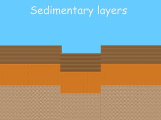 Sedimentary layers 