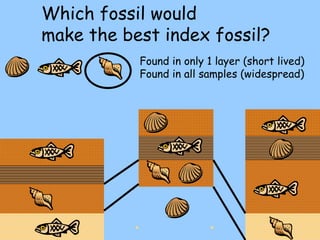Which fossil would  make the best index fossil? Found in only 1 layer (short lived) Found in all samples (widespread) 