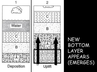 NEW BOTTOM LAYER  APPEARS (EMERGES) 