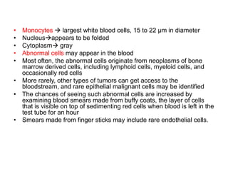 • Monocytes  largest white blood cells, 15 to 22 μm in diameter
• Nucleusappears to be folded
• Cytoplasm gray
• Abnormal cells may appear in the blood
• Most often, the abnormal cells originate from neoplasms of bone
marrow derived cells, including lymphoid cells, myeloid cells, and
occasionally red cells
• More rarely, other types of tumors can get access to the
bloodstream, and rare epithelial malignant cells may be identified
• The chances of seeing such abnormal cells are increased by
examining blood smears made from buffy coats, the layer of cells
that is visible on top of sedimenting red cells when blood is left in the
test tube for an hour
• Smears made from finger sticks may include rare endothelial cells.
 