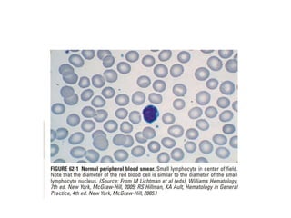 interpreting peripheral blood smears.pptx