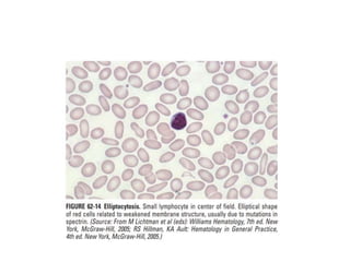 interpreting peripheral blood smears.pptx
