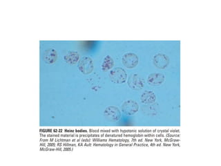 interpreting peripheral blood smears.pptx