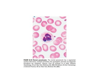 interpreting peripheral blood smears.pptx