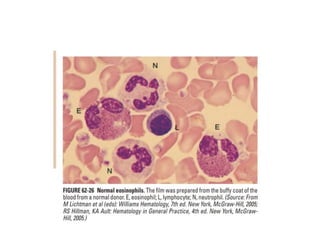interpreting peripheral blood smears.pptx