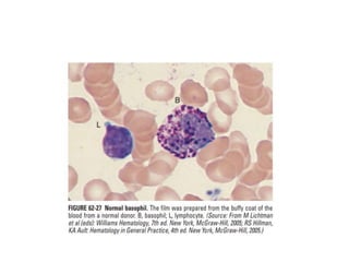 interpreting peripheral blood smears.pptx