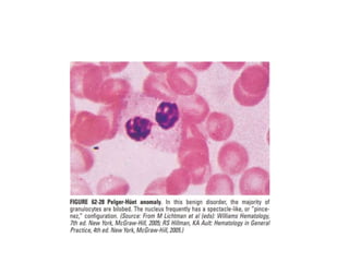 interpreting peripheral blood smears.pptx