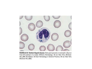 interpreting peripheral blood smears.pptx