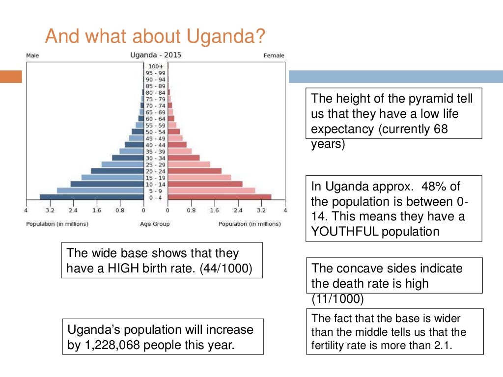Interpreting Population Pyramids Interpreting Population Pyramids