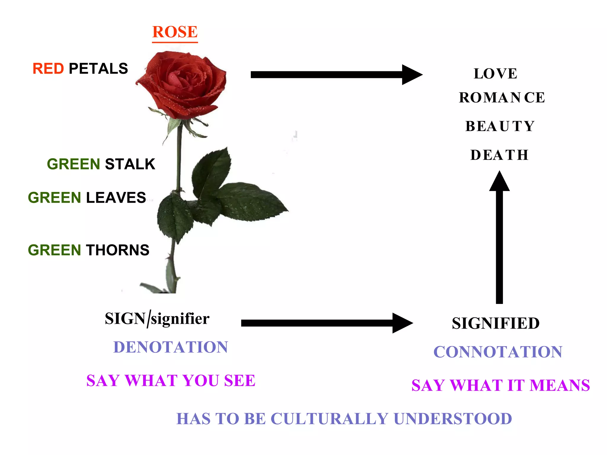 ROSE RED  PETALS GREEN  THORNS GREEN  STALK GREEN  LEAVES SIGN/signifier LOVE ROMANCE BEAUTY DEATH SIGNIFIED DENOTATION CONNOTATION SAY WHAT YOU SEE SAY WHAT IT MEANS HAS TO BE CULTURALLY UNDERSTOOD 