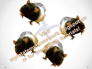  Interpret the Discriminant