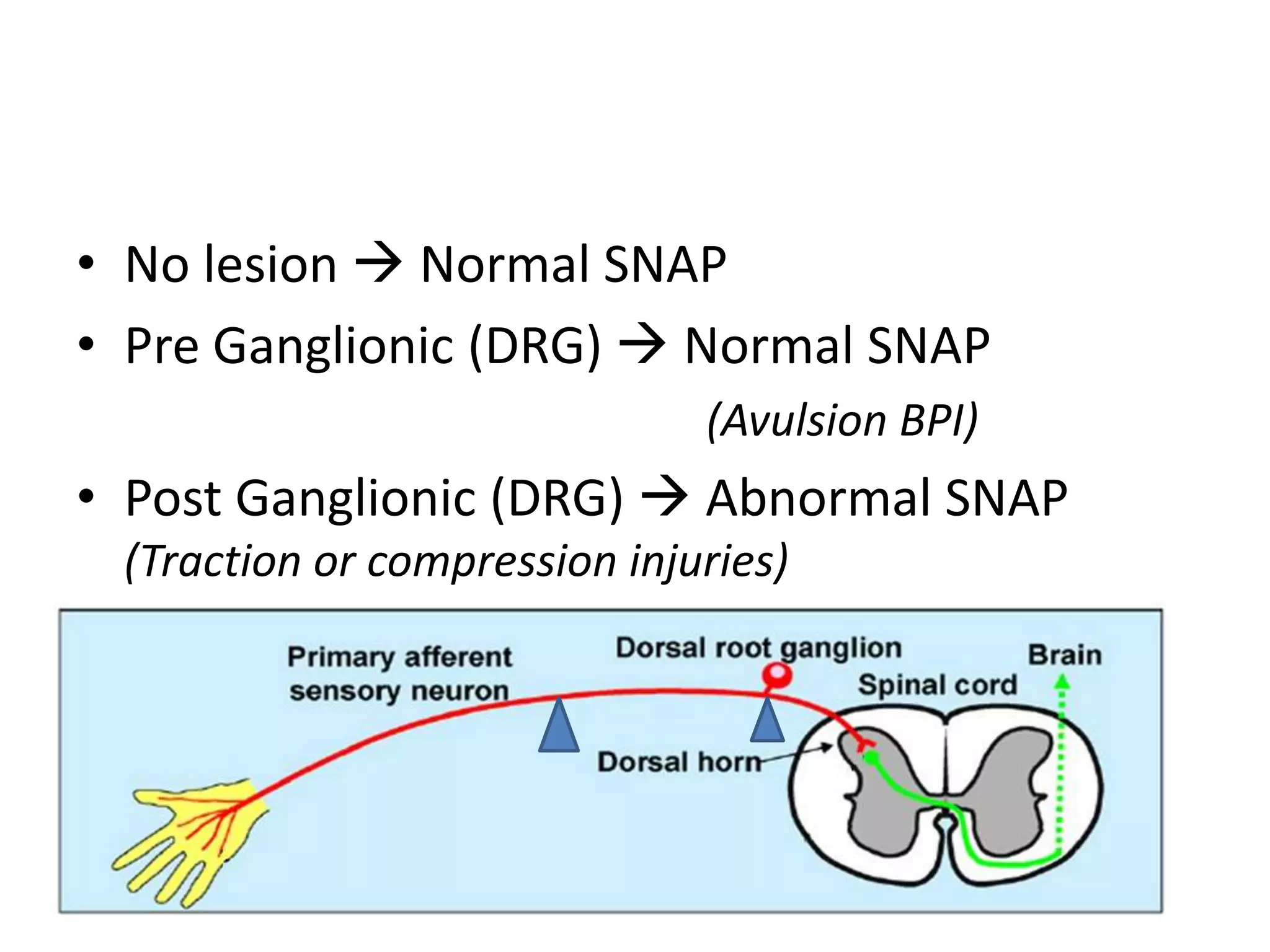 Interpretation of NCS and EMG | PPTX