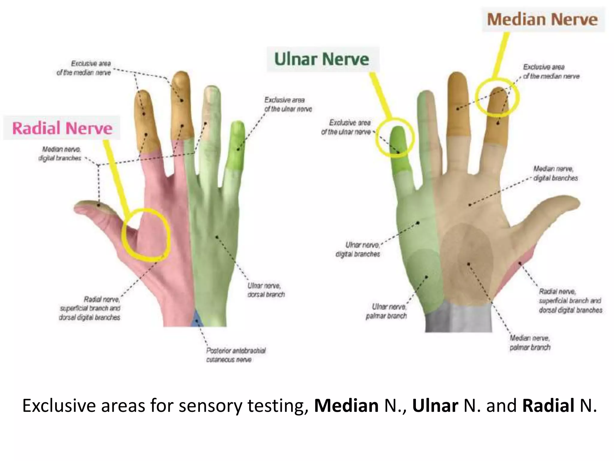 Interpretation of NCS and EMG | PPTX