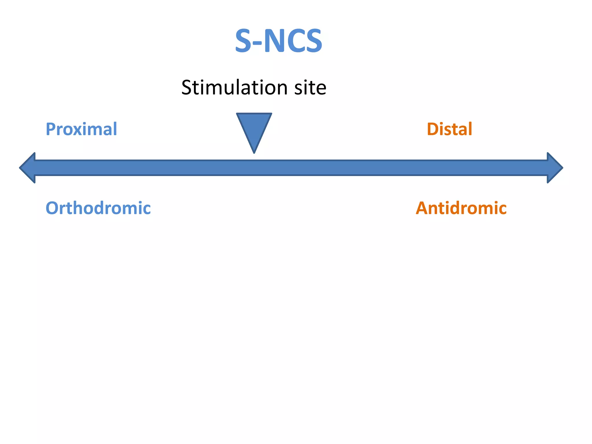 Interpretation of NCS and EMG | PPTX