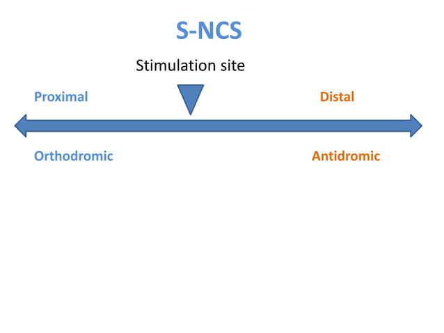 Interpretation of NCS and EMG | PPTX | Death, Injury, or Military ...