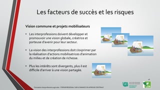 Les facteurs de succès et les risques
Vision commune et projets mobilisateurs
• Les interprofessions doivent développer et
promouvoir une vision globale, créatrice et
porteuse d’avenir pour leur secteur.
• La vision des interprofessions doit s’exprimer par
la réalisation d’actions mobilisatrices d’animation
du milieu et de création de richesse.
• Plus les intérêts sont divergents, plus il est
difficile d’arriver à une vision partagée.
Formation Interprofessions agricoles - FORUM REGIONAL SUR LE MANIOC EN AFRIQUE CENTRALE
18
 