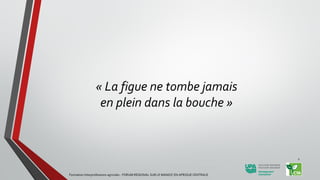 « La figue ne tombe jamais
en plein dans la bouche »
Formation Interprofessions agricoles - FORUM REGIONAL SUR LE MANIOC EN AFRIQUE CENTRALE
2
 