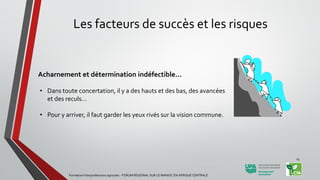 Les facteurs de succès et les risques
Acharnement et détermination indéfectible…
• Dans toute concertation, il y a des hauts et des bas, des avancées
et des reculs…
• Pour y arriver, il faut garder les yeux rivés sur la vision commune.
Formation Interprofessions agricoles - FORUM REGIONAL SUR LE MANIOC EN AFRIQUE CENTRALE
25
 