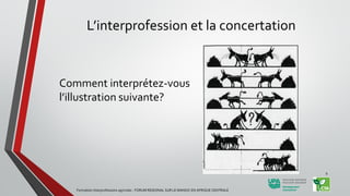 L’interprofession et la concertation
Comment interprétez-vous
l’illustration suivante?
Formation Interprofessions agricoles - FORUM REGIONAL SUR LE MANIOC EN AFRIQUE CENTRALE
9
 