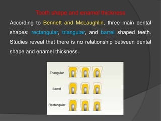 Tooth shape and enamel thickness
According to Bennett and McLaughlin, three main dental
shapes: rectangular, triangular, and barrel shaped teeth.
Studies reveal that there is no relationship between dental
shape and enamel thickness.
Rectangular
Triangular
Barrel
 