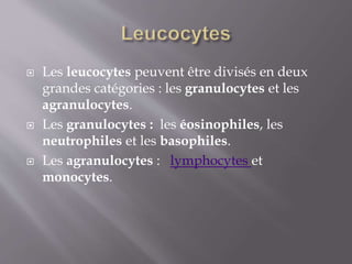  Les leucocytes peuvent être divisés en deux
grandes catégories : les granulocytes et les
agranulocytes.
 Les granulocytes : les éosinophiles, les
neutrophiles et les basophiles.
 Les agranulocytes : lymphocytes et
monocytes.
 