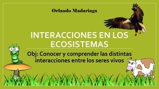 INTERACCIONES EN LOS
ECOSISTEMAS
Obj: Conocer y comprender las distintas
interacciones entre los seres vivos
Orlando Madariaga
 