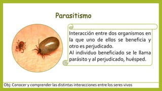 Obj: Conocer y comprender las distintas interacciones entre los seres vivos
Interacción entre dos organismos en
la que uno de ellos se beneficia y
otro es perjudicado.
Al individuo beneficiado se le llama
parásito y al perjudicado, huésped.
 