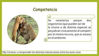 Obj: Conocer y comprender las distintas interacciones entre los seres vivos
Se caracteriza porque dos
organismos (que pueden ser de
la misma o de distinta especie) se
perjudican mutuamente al competir
por el mismo recurso, que es escaso
en el ambiente.
 
