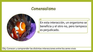 Obj: Conocer y comprender las distintas interacciones entre los seres vivos
En esta interacción, un organismo se
beneficia y el otro no, pero tampoco
es perjudicado.
 