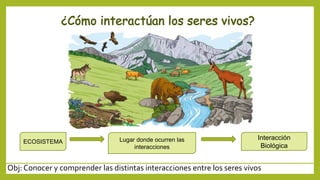 Obj: Conocer y comprender las distintas interacciones entre los seres vivos
ECOSISTEMA Lugar donde ocurren las
interacciones
Interacción
Biológica
 