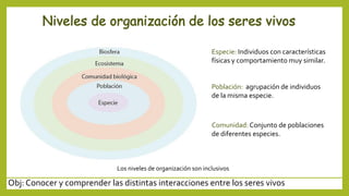 Obj: Conocer y comprender las distintas interacciones entre los seres vivos
Especie: Individuos con características
físicas y comportamiento muy similar.
Población: agrupación de individuos
de la misma especie.
Comunidad: Conjunto de poblaciones
de diferentes especies.
Los niveles de organización son inclusivos
 