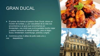 GRAN DUCAL
 El primer día fuimos al palacio Gran Ducal, vimos un
montón de turistas, y...por casualidad de la vida nos
encontramos a al guía que encontramos en
Ámsterdam, nos contó que a el le gustaba mucho viajar
y estaba haciendo el interail también, pero el eligio:
Suiza, Amsterdam, luxemburgo, polonia y ungria.
 Comimos juntos 4 alitas de pollo cada uno y
nos despedimos.
 