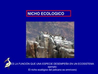 NICHO ECOLOGICO ES LA FUNCIÓN QUE UNA ESPECIE DESEMPEÑA EN UN ECOSISTEMA ejemplo: El nicho ecológico del pelicano es omnívoro) 
