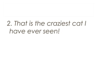 2. That is the craziest cat I
have ever seen!