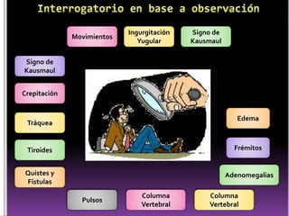 Edema
Movimientos
Ingurgitación
Yugular
Signo de
Kausmaul
Signo de
Kausmaul
Crepitación
Tráquea
Tiroides
Quistes y
Fístulas
Pulsos
Frémitos
Adenomegalias
Columna
Vertebral
Columna
Vertebral
 