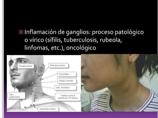  Inflamación de ganglios: proceso patológico
o vírico (sífilis, tuberculosis, rubeola,
linfomas, etc.), oncológico
 