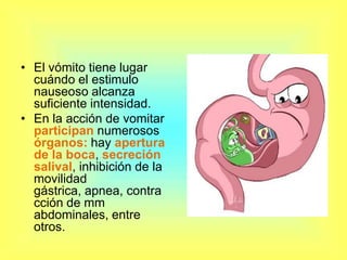 El vómito tiene lugar cuándo el estimulo nauseoso alcanza suficiente intensidad.En la acción de vomitar participan numerosos órganos: hay apertura de la boca, secreción salival, inhibición de la movilidad gástrica, apnea, contracción de mm abdominales, entre otros. 
